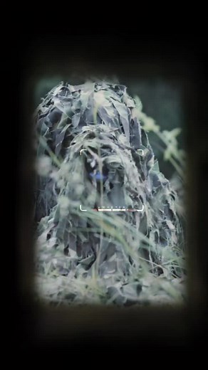 Special task Force official on TikTok