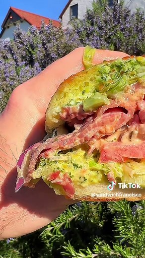 sandwichfrancisco on TikTok
