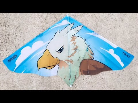 Orao Kite from Decathlon Unboxing Review | How to Fly Technique | Features Assembly of MKF120 Static