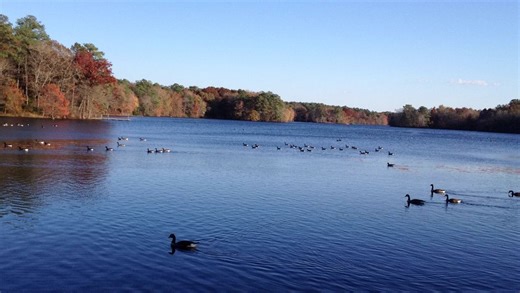 This Delaware campground is one of the most scenic in the US, says Reader’s Digest