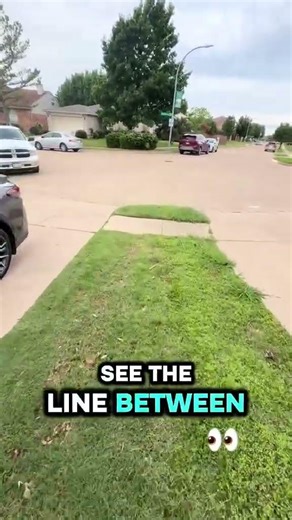 You Can Literally See the Line Between Lawn Care Programs