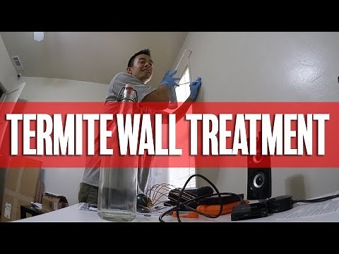 Treating My Walls For Termites | Pest Control Vlog
