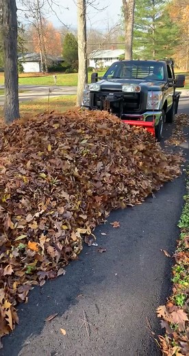 Efficient Leaf Pile Moving Tips for Your Lawn | A Plus Landscaping