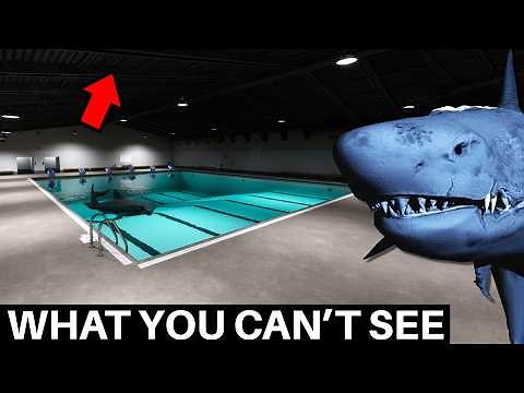 What Sharks and Minnows Hides From You (Horror Game)