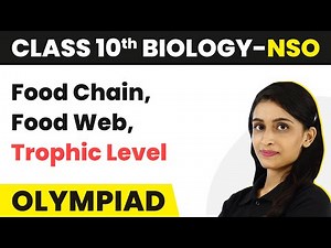 Food Chain, Food Web, Trophic Level - Our Environment | Class 10 National Science Olympiad (Biology)