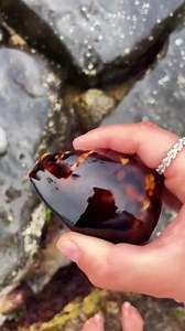 Seashell Stroker #funnymemes #comedy #memes #funnyvideos #humor #funnyreels #hilarious #jokes | Jonny Englsh