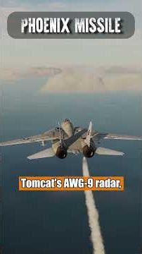 Development of the AIM-54 Phoenix Missile F-14 Tomcat #documentary #history #aviation #dcsworld