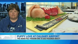 4.2K views · 32 reactions | Calgary's international airport is bringing some puppy love to stressed out passengers with their new 'Pre-Board Pals' program that gives anxious passengers a chance to spend some time with therapy dogs before hopping on a flight. The program was a collaboration between the Calgary Airport Authority and the Pet Access League Society. Diana Segboer with the Pet Access League Society explains where the idea came from. | CTV News Channel | Facebook