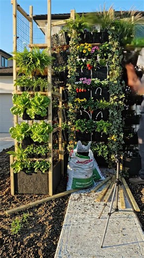 Front Yard Vertical Garden Transformation 🤯🌿✨ #shorts