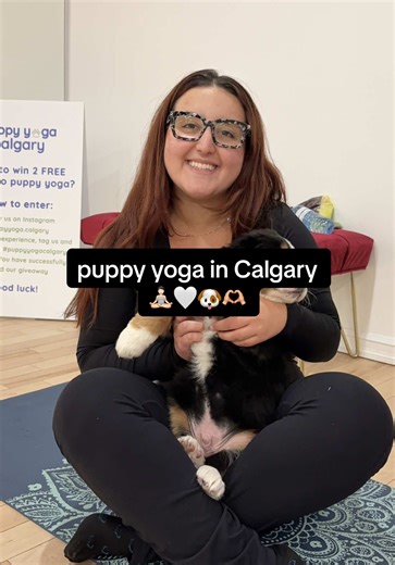 my favourite kind of yoga 🧘🏻🐶 If you’re in Calgary and you haven’t been to @puppyyoga.calgary ayet, you simply must go! it’s so fun 🥰 they’re so cute and playful but also sleepy and you do get some yoga in, except I prioritize the puppy part 😂 #puppyyoga #yycyoga #yyc #yycthingstodo #calgary