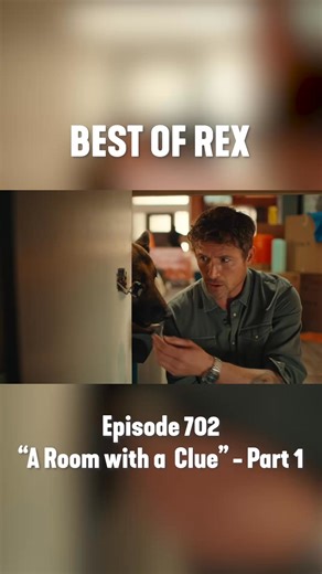 120K views · 5.9K reactions | When a quiet day home alone turns into a crime scene next door, Rex springs into action and takes matters into his own paws.  Check out the “Best of Rex” moments from Episode 702, "A Room with a Clue" – Part 1 (and keep a look out for Part 2)! | Hudson & Rex on Citytv | Facebook