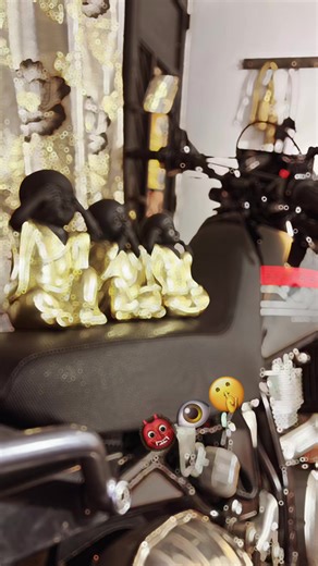 Exploring the Suzuki DR650: Sound and Stunts