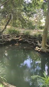 What's going viral in East Java: King Airlangga's legacy that's causing a stir among residents.