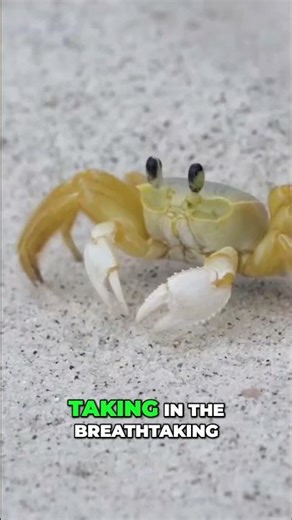 Puerto Rico & St Lucia Caribbean Paradise Explored!