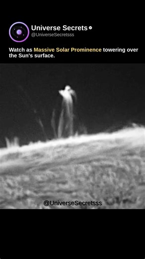 Massive Solar Prominence ☀️