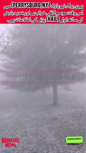 Perrysburg, NY Hit by Severe Hailstorm: Heavy Rain and Ice Pelt Town