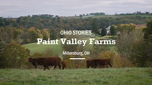 664 reactions · 70 shares | Meet the Miller family as they work towards a better tomorrow for their children and their herd of Shorthorn cattle. Learn more about Ohio’s beef farm families at https://www.ohiobeef.org/raising-beef | Ohio Beef Council | Facebook