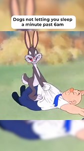 689K views · 10K reactions | No such thing as "sleeping in" | Looney Tunes | Facebook