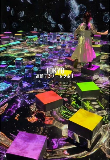 子供と楽しむチームラボ新エリア