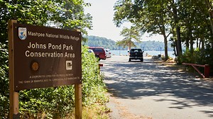 PFAS advisory: State asks people to limit or not eat fish caught at 5 Cape Cod ponds