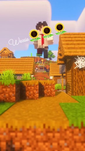 Minecraft swapper #blockswapper #minecrafttips #minecraftideas #minecraft | Windy Bandico