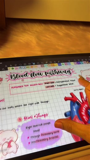 Explore the Kilonotes Feature for Effective Note-Taking