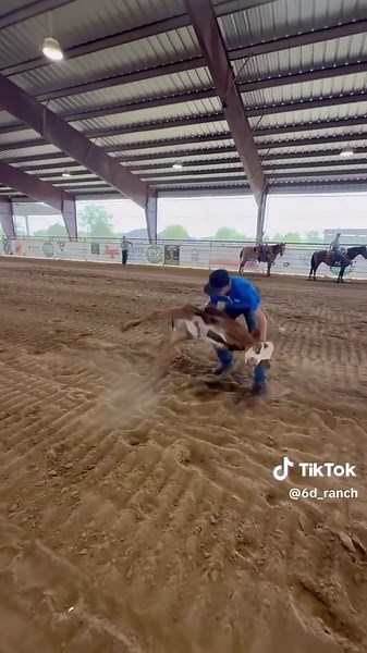 Mastering Calf Roping Techniques for Rodeo Success
