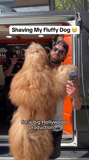 Goldendoodle Brodie (@goldendoodle.brod)’s videos with original sound - Goldendoodle Brodie