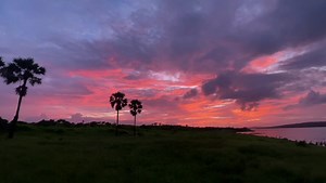 213K views · 41K reactions | a scenery i would like to see everyday | Xen | Facebook