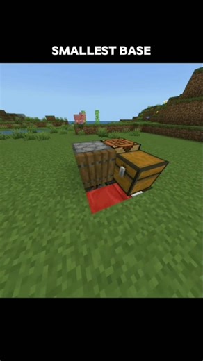 smallest base Minecraft 😮 #shorts