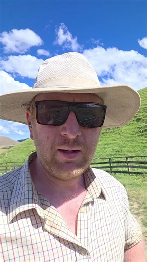 a very helpful farm dog #daschund #farmlife