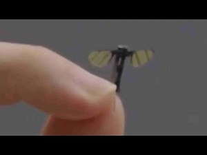 China Develops Mosquito Drone For Military Activities