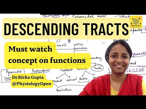 Descending pathways physiology | Pyramidal and extrapyramidal tracts | CNS Physiology mbbs 1st year