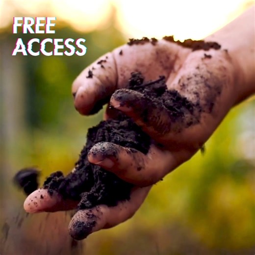 Quick reminder that our Soil health webinar is happening TODAY! This is the middle of the three-part series... I know you won't want to miss today! Details? Right here➡️ April 18th - 3 PM CST - How to build a healthy soil and where to put your dollars and focus. Join here or on the instagram stories! https://event.webinarjam.com/live/169/z4243uvxuvmannp4fpm5p | Seedtime