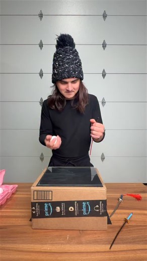 Mini Katana on Instagram: "The Egg Challenge! Who Will Win? #challenge #egg #goofy #funny #fyp"