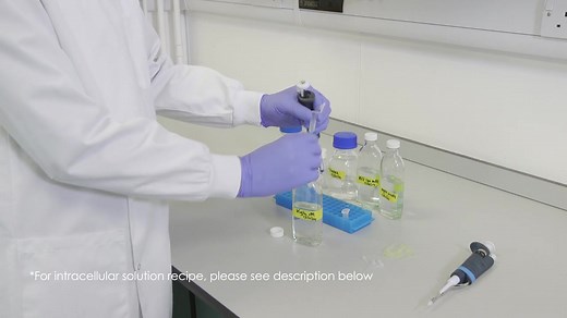 Brain slice electrophysiology video protocol脑片电生理实验技术