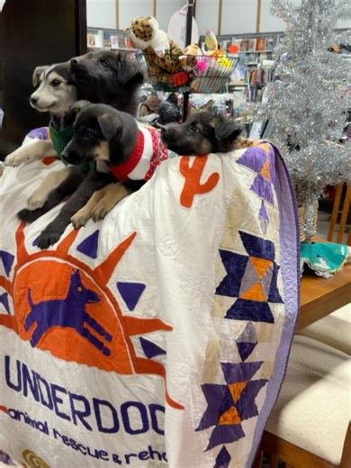 Underdog Animal Rescue and Rehab-Moab, Utah on Reels