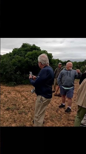 Giraffe Poop Spitting Contest in South Arica - Addo Elephant National Park