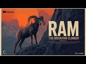 Ram: The Majestic Climber That Defies Steep Heights