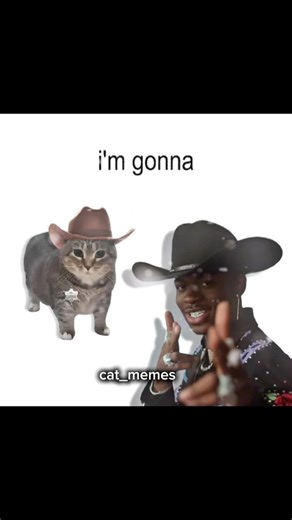 Lil Nas X - Old Town Road, but it's Oiiai Cat Remix (viiai) #mashup #remix #cat #uia #oiiaoiiacat