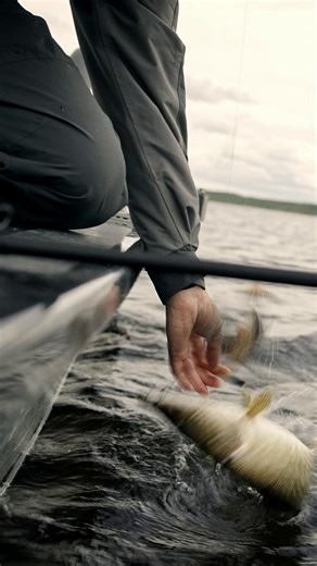 3.5K views · 37 reactions |  CHASING LEGENDS  Episode 1 coming soon...