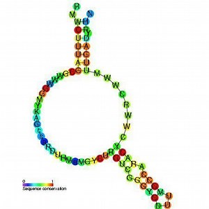 Retron - Alchetron, The Free Social Encyclopedia