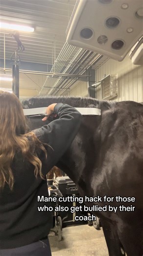 Roo aproved #dressage #horse #funny #fyp #equestrian | dressage horses