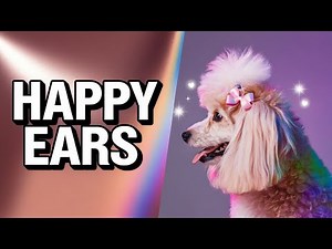 Grooming Secrets: Easy Tips to Transform Poodle Ears!