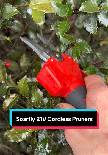 Manual pruners make yard work a struggle. The Soarfly 21V Cordless Pruner slices through thick branches and bushes with ease — fast, safe, and effortless. Perfect for pruning any time of year. On sale now — grab yours before it’s gone! #CordlessPruner #ElectricPruner #GardenTools #BushTrimmer #diygardening