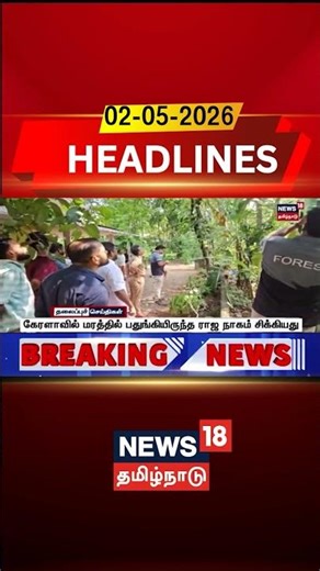 King Cobra Caught On Tree | கேரளாவில் மரத்தில் பதுங்கியிருந்த ராஜ நாகம் சிக்கியது | Kerala