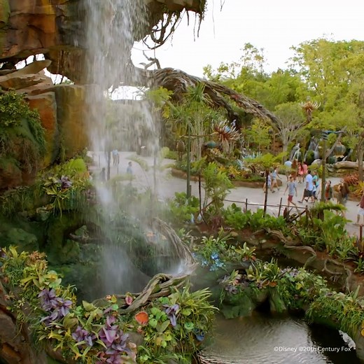 It’s time to dive back into the world of Pandora as ‘Avatar: The Way of Water’ debuts today! 🌊 Let’s head into Pandora – The World of Avatar at Disney’s Animal Kingdom to get ready for this much-anticipated journey. 🍃 The only place where you can experience Pandora for yourself, where you can hike amid floating mountains, glowing fauna and flora, and many other wonders. Fly on the back of a banshee in Avatar Flight of Passage and float through a bioluminescent rainforest on Na’vi River Journey