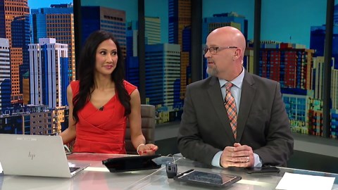 Denver’s getting a dog-themed dive bar