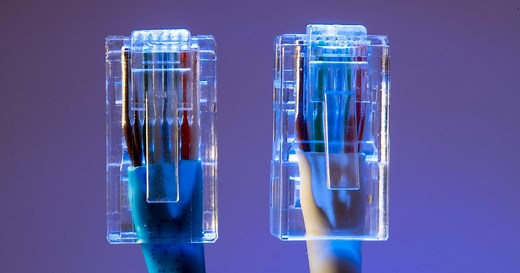 LAN- und Ethernet-Kabel - das ist der Unterschied