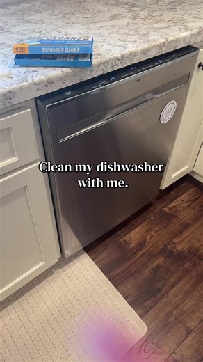 Effective Dishwasher Cleaning Tips